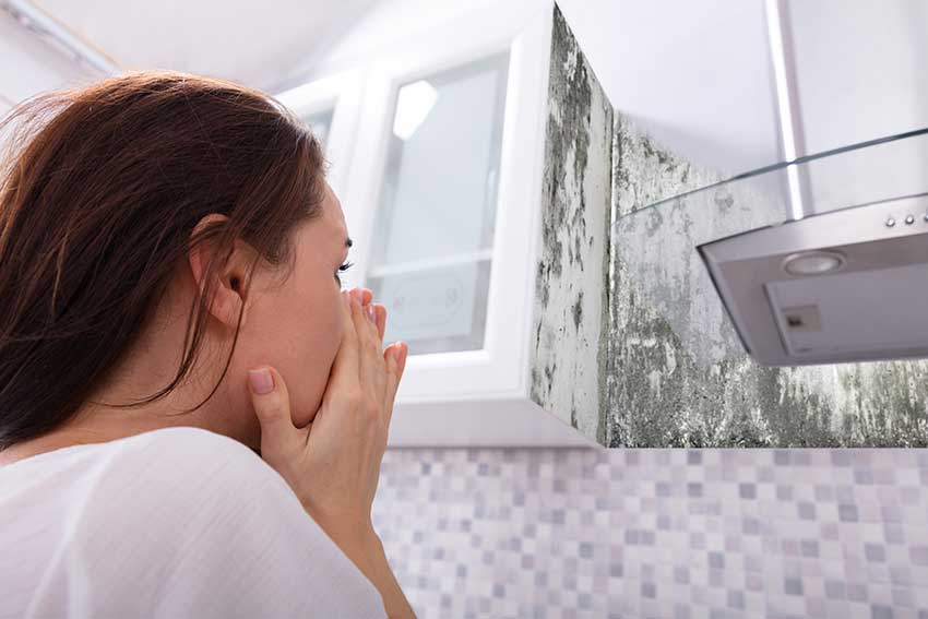 Poor-AC-humidity-control-causes-mold-growth