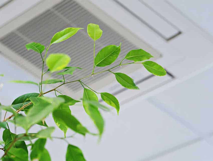 indoor-air-quality